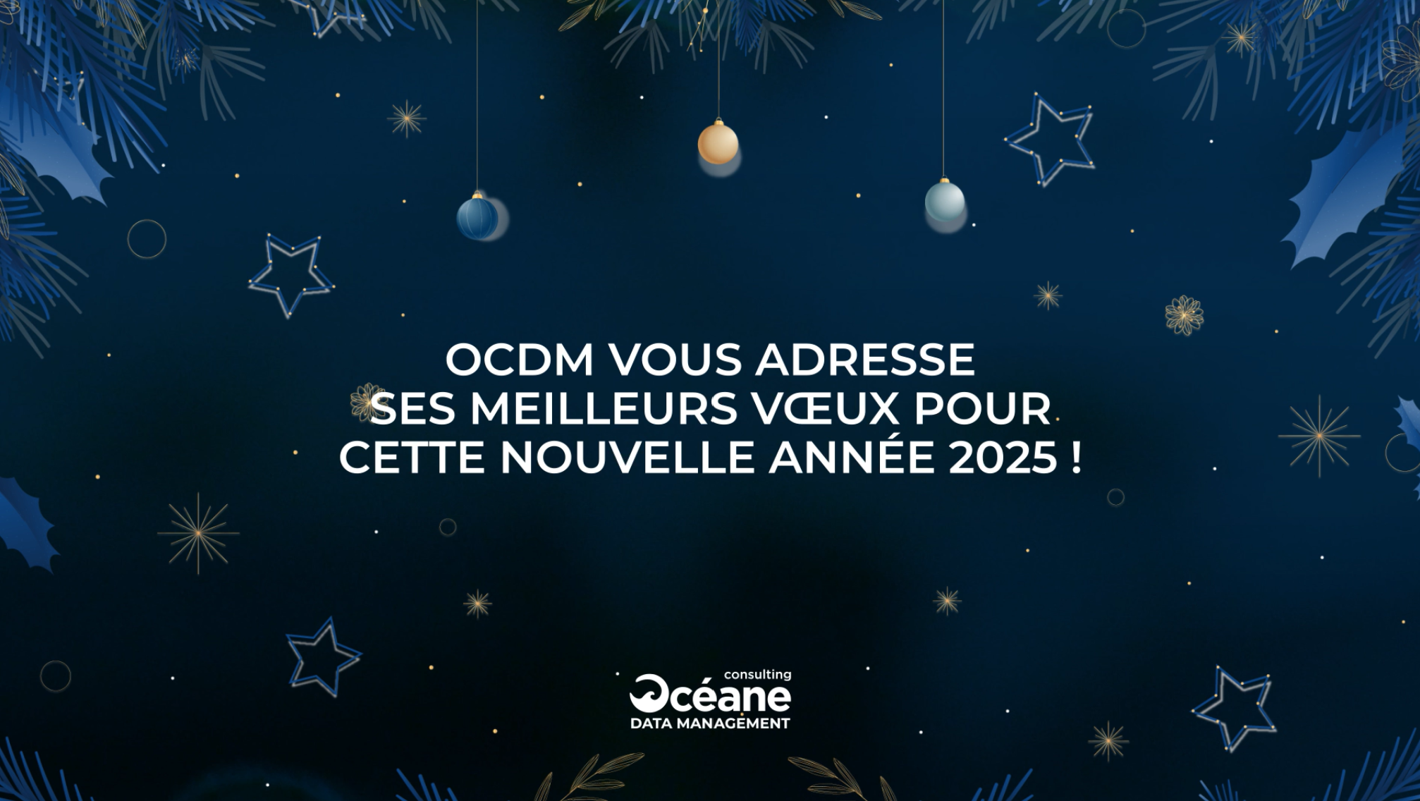 Océane Consulting DM : Rétrospective 2024 et Perspectives 2025